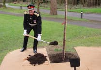 Tree planted in memory of Sister Mary Agnes of Holy Cross Hospital