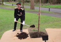 Tree planted in memory of Sister Mary Agnes