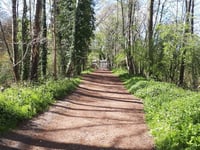 Nature calls: Learn more about East Hants river at Liss event