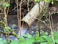 More sewage discharged into the River Wey