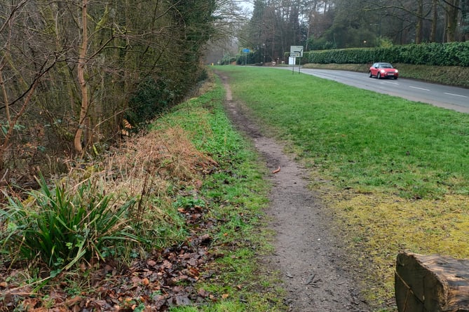The grass verge will be cut and collected on an annual basis by the National Trust