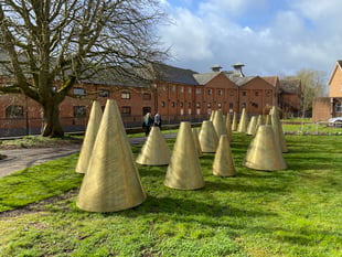 Where have they cone? Controversial art removed from central Farnham