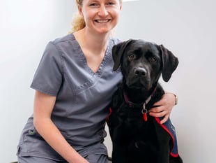 Vet saves trainee hero puppy Warrior after swallowing button battery