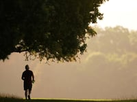 Adults in Waverley are more active than their neighbours
