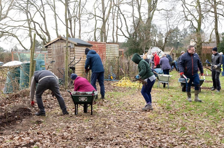 Volunteers planting the hedging whips