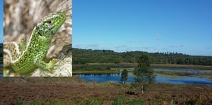 There's never been a better time to discover the secrets of our heaths