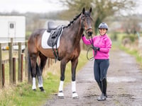 Horse with a broken neck returns to competition