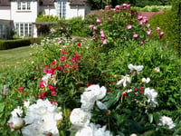 Your guide to Bramshott Open Gardens