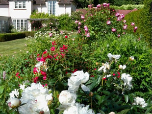 Your guide to Bramshott Open Gardens