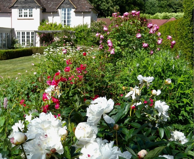 Your guide to Bramshott Open Gardens