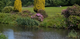 Thames Water threatened with record fine over discharges