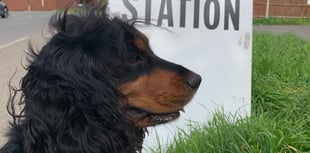 Surrey seats to watch in the election