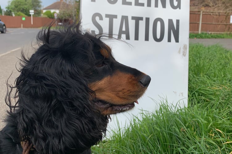 Scout outside a polling station Molesey
