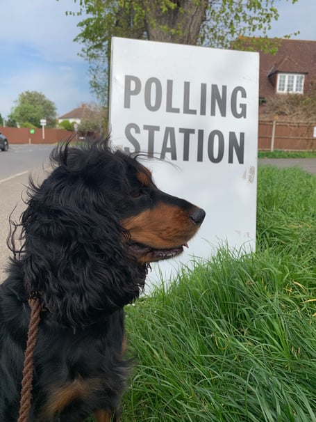 Scout outside a polling station Molesey