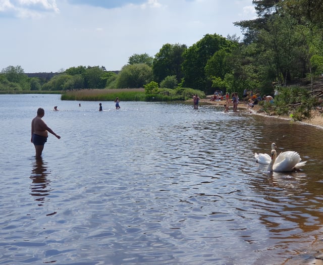 June is nature month: let’s do more to help our greatest asset