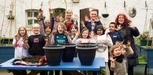 Schools and clubs offered free trees - but be quick.