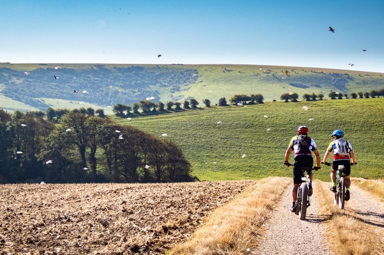 South Downs Way near Lewes by Peter Bryan