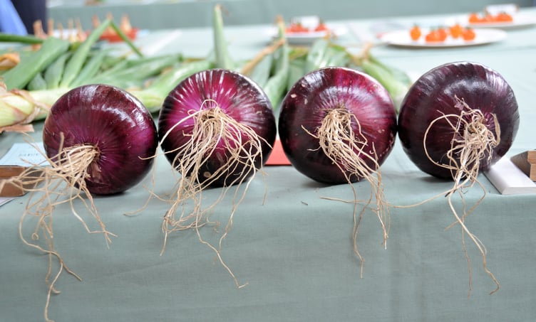 John Gilbert's winning onions