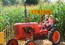 Cowdray’s Maize Maze: A must-visit summer attraction
