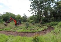 Haslemere Museum unveils plans for new sensory garden