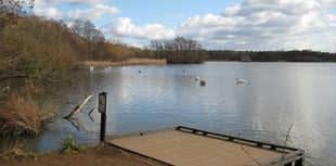 Police appeal after Canada goose killed and swan injured