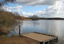 Police appeal after Canada goose killed and swan injured at Fleet Pond