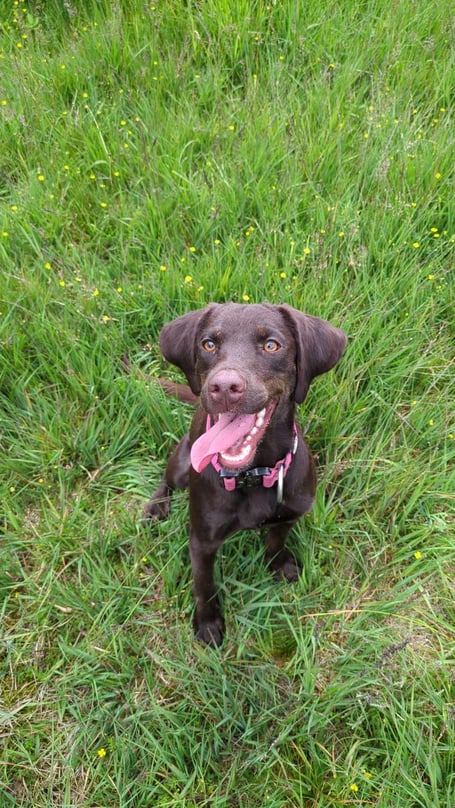 Rare disease almost cost Edith and her family everything