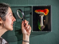 Surrey artist creates incredible life-like embroidered mushrooms
