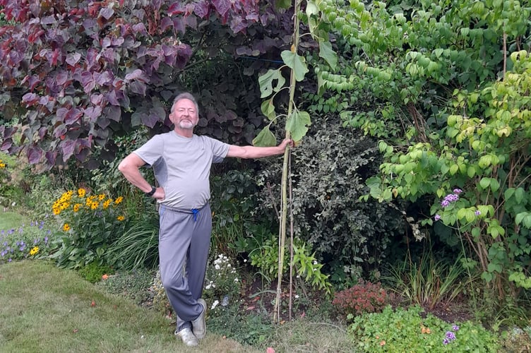 Roger Cooper's shortlisted 3m sunflower