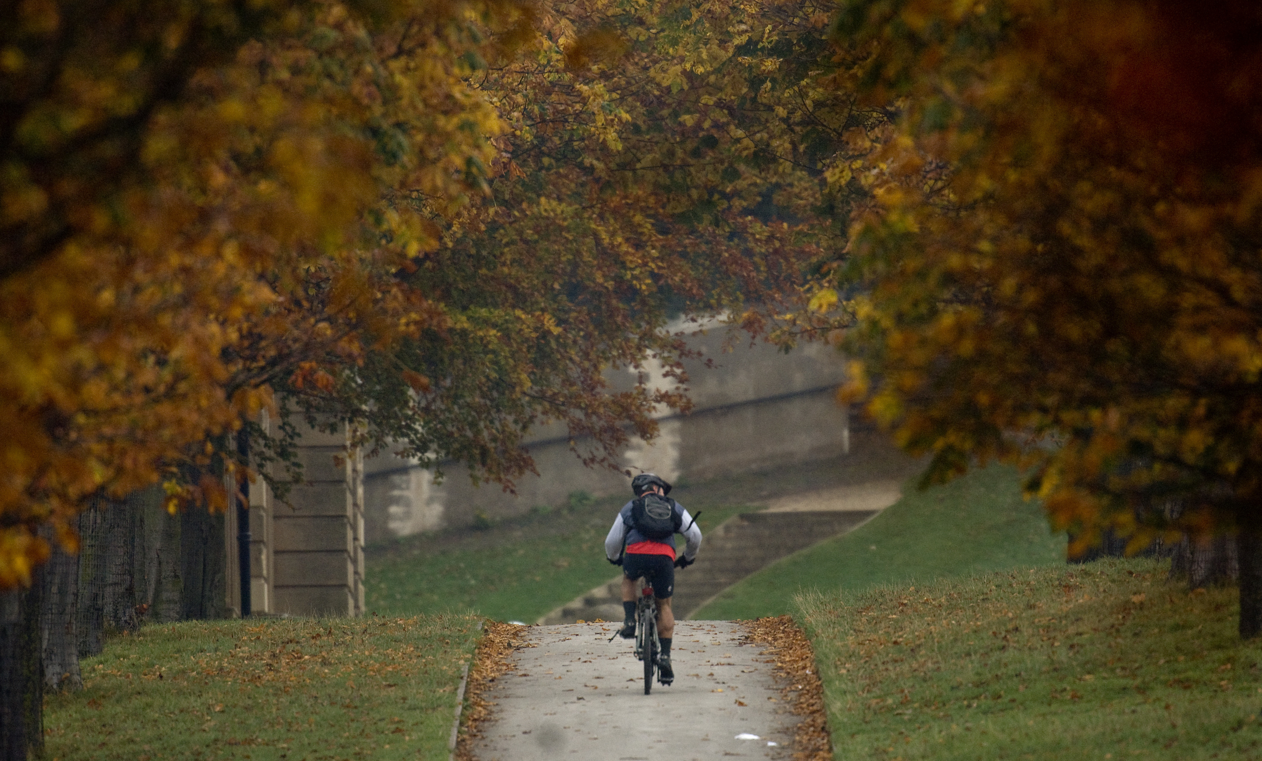 One in 10 people in Surrey cycling weekly