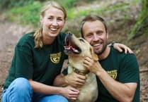 Hidden Valley Grayshott: The best kept secret for outdoor adventures