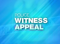 Man dies in Hampshire after tree falls on car during Storm Bert