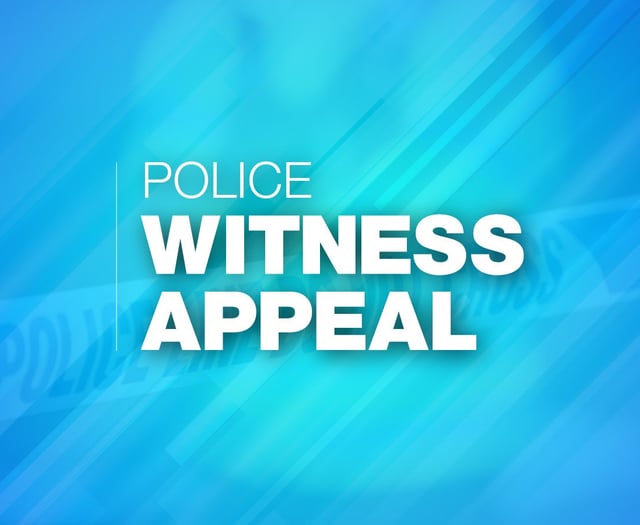 Police seek driver after A31 crash