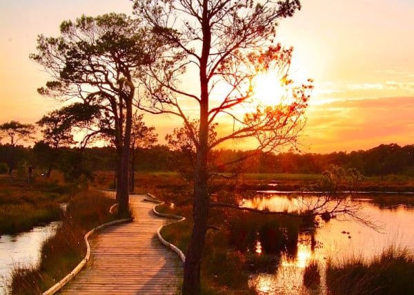 Britain’s favourite path now part of a major new nature reserve