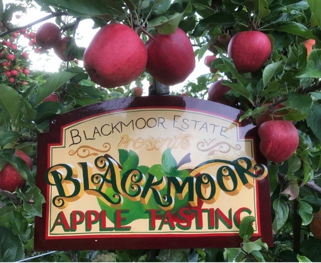 Fruity fun in the orchard