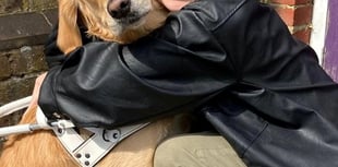 Child attacks assistance dog causing handler to have a medical episode