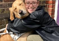 Child attacks assistance dog causing handler to have a medical episode in Petersfield