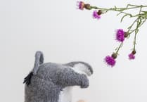 Rupert's House: Hindhead designer fights mass production with handcrafted treasures