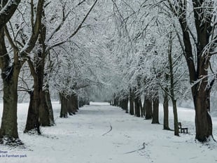 Voucher incentive as parks survey launched