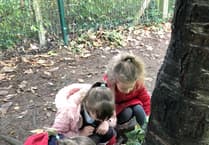 Fernhurst Primary pupils get hands-on with den building in the woods