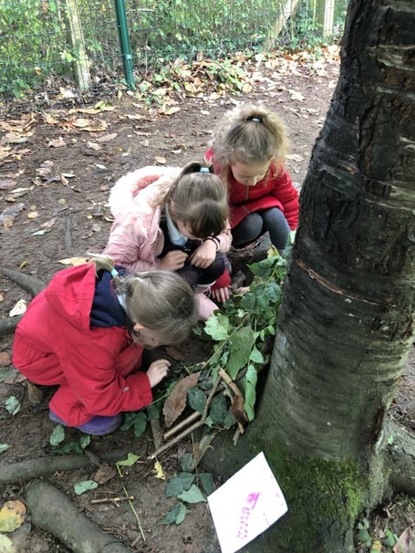 Fernhurst pupils get stuck i building dens