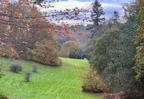 Planning Inspectorate blunder puts Surrey Hills back in developers’ sights