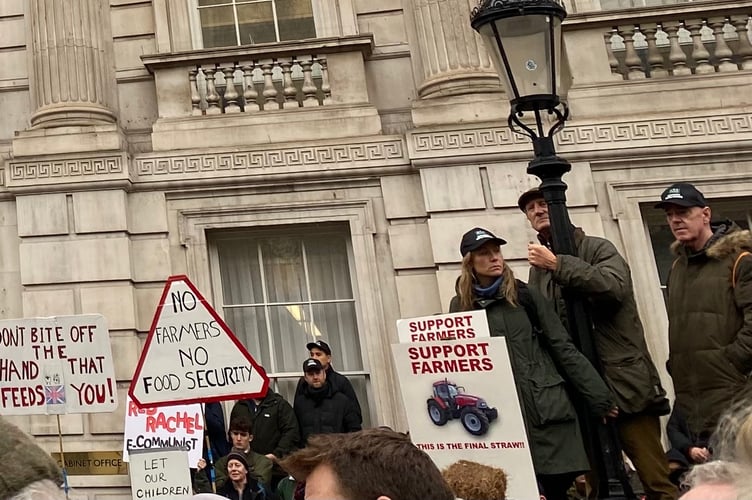 Farmers Protest Whitehall