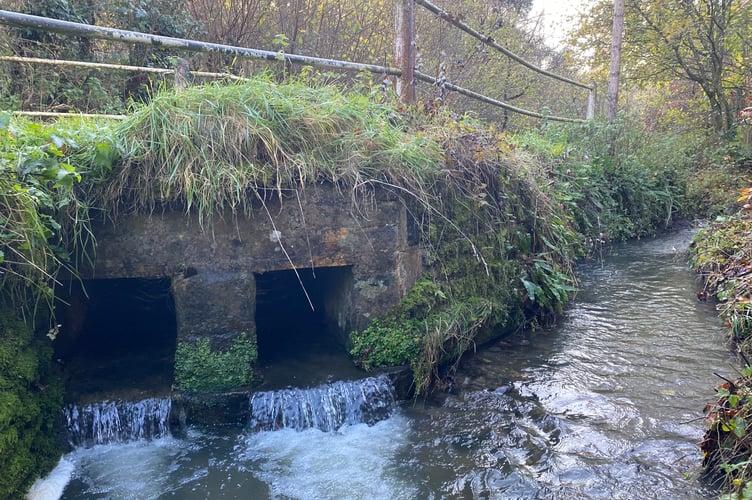 Selborne Stream Wey Sewage