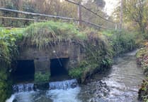 Water Disgrace: Dirty weekend of shame as Thames Water pumps sewage into Wey for 49 hours