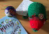 Knitted hedgehogs spreading the Christmas spirit around an East Hampshire village