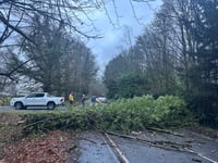 DAY TWO: Live Storm Darragh updates from Herald & Post area 