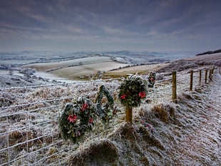 Christmas comes early to National Park with huge donation