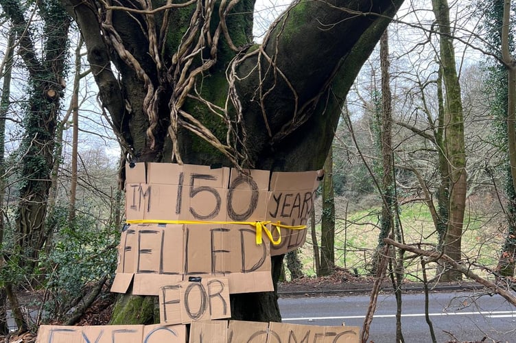 In protest residents have put up a sign saying: "I'm 150 years old felled for Exec homes."