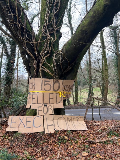 In protest residents have put up a sign saying: "I'm 150 years old felled for Exec homes."